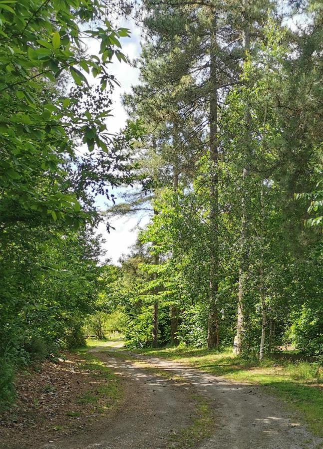 Camping De La Chagnee Saint-Aubin-le-Cloud ภายนอก รูปภาพ