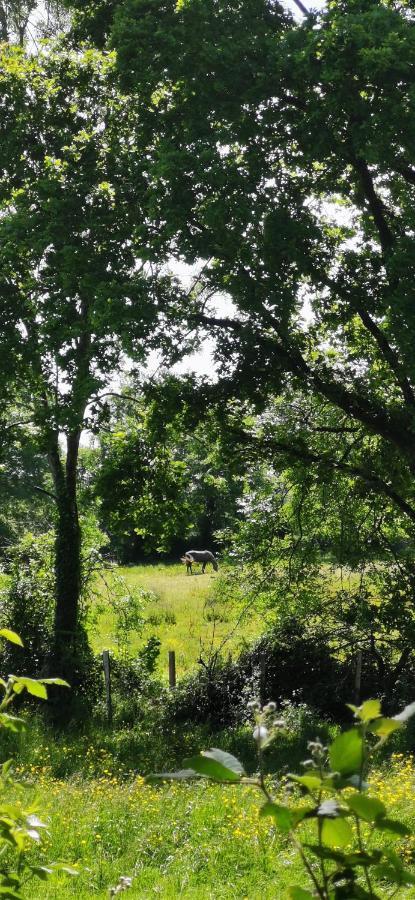 Camping De La Chagnee Saint-Aubin-le-Cloud ภายนอก รูปภาพ
