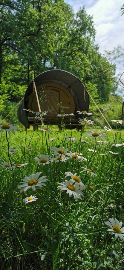 Camping De La Chagnee Saint-Aubin-le-Cloud ภายนอก รูปภาพ