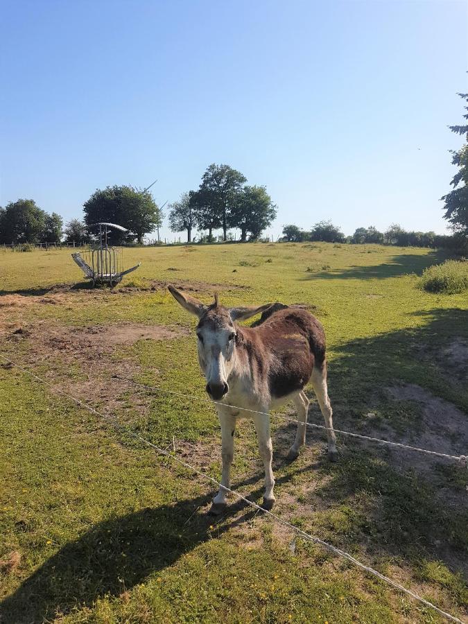 Camping De La Chagnee Saint-Aubin-le-Cloud ภายนอก รูปภาพ